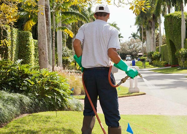 About Key Colony Beach FL Pest Control